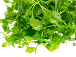 الجرجير من المواد الطبيعية المغذية للشعر