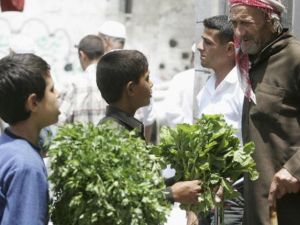 تحتوي كل مئة غرام من الجرجير على بروتينات وسعرات حرارية وكربوهيدرات وألياف تساعد في تحسين عملية الهضم