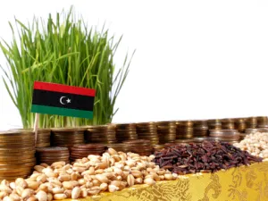 ليبيا تؤجل مجدداً مناقصة القمح والحبوب