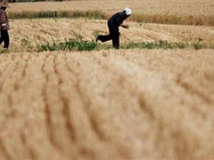 The latest figures show Lebanese exports to its neighbor up to April of 2012 jumped by 17 percent