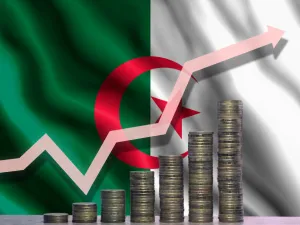 مجلس الوزراء الجزائري يرفع الرسوم الجمركية بنسب تتراوح بين 60% و 200%
