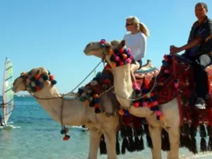 عدد السائحين القادمين من الدول العربية إلى مصر ارتفع أيضًا خلال شهر أبريل الماضي بنسبة 3.6% 