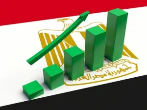 إقرار قانون ضريبة القيمة المضافة من شأنه أن يزيد من عوائد الضرائب المنخفضة في مصر