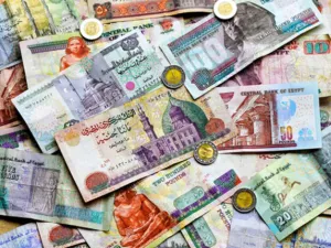 سددت مصر 1.2 مليار دولار من مديونيتها للشركات الاجنبية بالعملة الصعبة في ديسمبر كانون الأول بالاضافة إلى 300 مليون دولار بالجنيه المصري