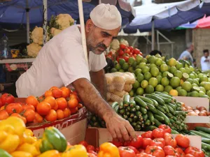 حجم صادرات مصر من الحاصلات الزراعية للدول العربية يبلغ نحو 1.2 مليون طن سنويا