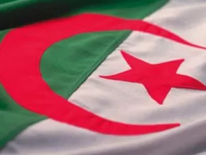  أوضح بلاني أن هذه البادرة تندرج في سياق مواصلة دعم الجزائر للشعوب العربية خاصة في الأوضاع التي تستدعي أعمال تضامنية مباشرة لا سيما في ما يتعلق بدعم إعادة الإعمار وجهود التنمية الاقتصادية والاجتماعية