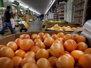 بلغت الفاتورة الغذائية للمصريين حاليا 250 مليار جنيه، منها 100 مليار جنيه مستوردة من الخارج، على الرغم من توافر المساحات الصحراوية القابلة للاستصلاح في مصر