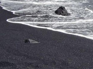 فشلت مناقصة عالمية طرحتها مصر خلال عام 2010 لاستغلال الرمال السوداء بالبرلس بمحافظة كفر الشيخ (بوسط دلتا مصر)، إثر تقدم شركة واحدة فقط لإقامة المشروع