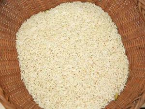 مصر تتوسع في زراعة الأرز مع تفاقم فاتورة الواردات