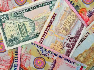 أكدت الوكالة الرسمية إن الإنفاق المتوقع لهذا العام يبلغ 13.5 مليار ريال، أو مايعادل 35.1 مليار دولار، بزيادة 5% عن خطة عام 2013