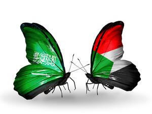 المستثمرين السعوديين يعانون مشكلات تحويل الأرباح وصعوبة توفير العملة الصعبة لتوفير المستلزمات التشغيلية، والتدهور المستمر في سعر صرف الجنيه السوداني