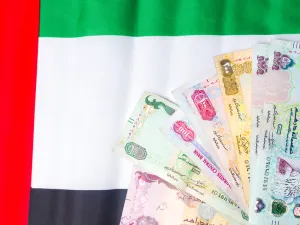 الإمارات تستحوذ على حصة بنسبة %26.2 من الاستثمار الأجنبي عربياً
