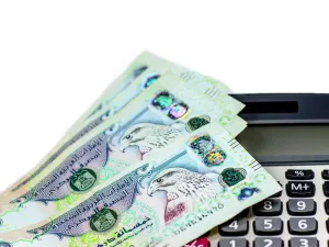الثقة تزداد بجودة أداء اقتصاد الإمارات في 2019