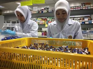 The global halal economy is estimated to reach $6.4 trillion by 2018, compared to $3.2 trillion in 2012. (AFP) The global halal economy is estimated to reach $6.4 trillion by 2018, compared to $3.2 trillion in 2012. (AFP)