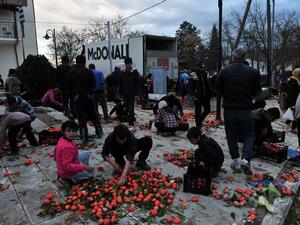 Migrants pick edible tangerines from the ground at the Greek-Macedonian border near the Greek village of Idomeni on March 11, 2016, where thousands of refugees and migrants are trapped by the Balkan border blockade. (AFP/Sakis Mitrolidis)