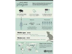 The Ministry of Health has issued a warning to UAE nationals and residents about traveling to Madagascar. 