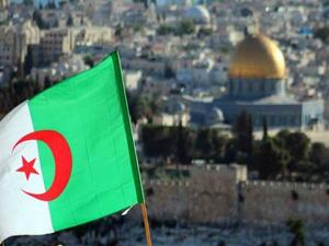 بعد قرار ترامب.. الجزائر ترفض استقبال عناصر “مارينز″ لتأمين السفارة الأمريكية