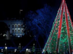 Christmas Tree of White House (Twitter)