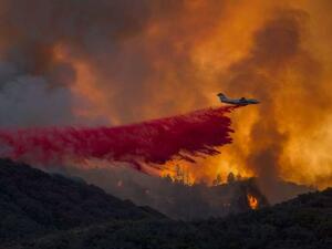 أكثر من 100 حريق غابات ضخم في الولايات المتحدة بعد اندلاع حرائق جديدة

