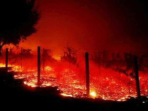 ارتفاع حصيلة ضحايا الحرائق في كاليفورنيا إلى 23 قتيلاً