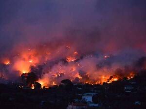 صورة لحرائق اليونان
