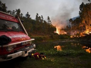 حرائق في البرتغال تقتل 39 شخصا
