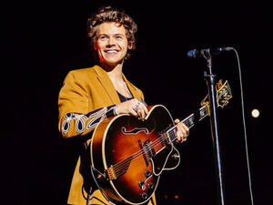 Harry Styles is set to executive produce a new sitcom loosely based on his life (Source: Harrystyles / Instagram)