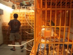 179 هاربا اعتقلوا مجددا