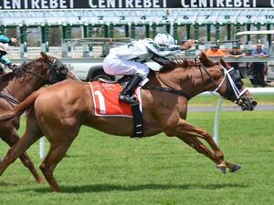 The equine guests were treated with exceptional care and attention as they were transported to Omaha, Nebraska. (File photo)