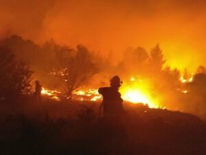 لم يتم تحديد سبب الحرائق بعد