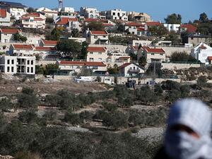 شددت المنظمات الدولية على أن الغرض من قاعدة البيانات هو أن تكون وثيقة حية يتم تحديثها دوريا 