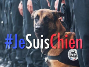 #JeSuisChien is trending on Twitter, although some feel that people's sympathies should be targeted elsewhere. (Twitter)