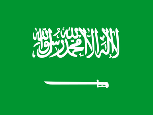 But while the Saudi government doesn’t have its head stuck in the sand, it isn’t clear that it is doing enough to tackle the country’s foreseeable financial problems But while the Saudi government doesn’t have its head stuck in the sand, it isn’t clear that it is doing enough to tackle the country’s foreseeable financial problems