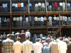 قرغيزستان تحبط هجومين لداعش
