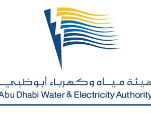 تعمل الهيئة ومجموعة شركاتها وفق خطة شاملة لتحسين وتطوير البنية التحتية من خلال منهجية متكاملة تهدف إلى تنفيذ استراتيجيات توفير متطلبات البنية التحتية للإمارة والإسهام في النهضة الحضارية والمجتمعية التي تشهدها الدولة