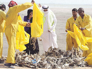  وجود ملوثات بيولوجية تفوق المسموح به بـ23 ضعفا 
