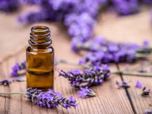 يعمل زيت اللافندر كمرطب طبيعي للبشرة (shutterstock.com)

