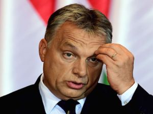 أكدت المجموعة أن على الصحيفة أن تتكيف مع اتجاهات السوق 