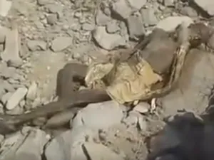 جثمان الحاج الاسيوي 