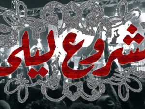مشروع ليلى