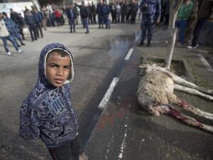 A Palestinian boy stands next to a donkey killed in an Israeli air strike in Gaza City, on January 19, 2014.  [AFP]