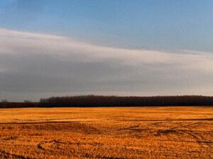 Alberta