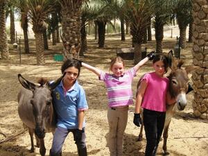 The Desert Ranch