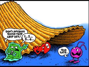 The 5-second rule from the 'bacteria's' point of view- requires patience on their part...