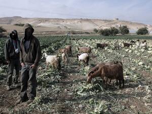 The land in the Jordan Valley is often contested.  (AFP/File)