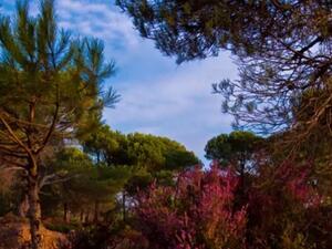 Mount Lebanon