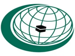 مساعدات انسانية من المنظمة الى غزة 
