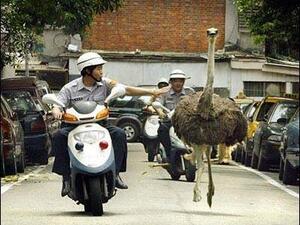 A scene much like this one developed in the streets of Saudi Arabia