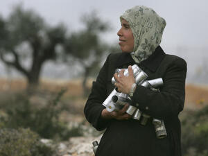 Harsh aftermaths: A Palestinian woman collecting used tear gas cartilages.   