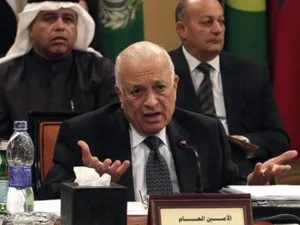نبيل العربي